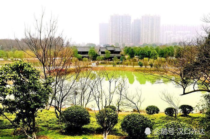 武汉码头潭公园 风景秀丽 美不胜收 看球观景两不误