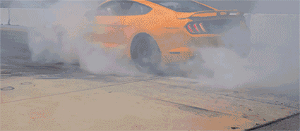 0的野马才是真野马,那么2.3t的野马是野驴吗?