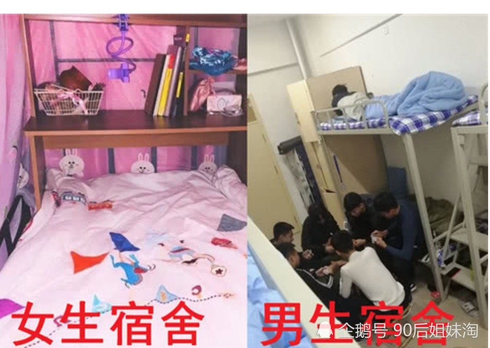 男生宿舍vs女生宿舍,画风跑偏了吧,网友:简直就是车祸