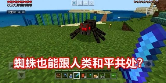 我的世界:蜘蛛身上还有这样的知识,了解5条以上?老玩家了!