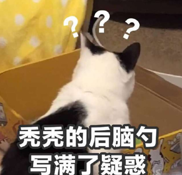 看不懂女朋友有没有化妆,不懂包包口红的乐趣,表示疑问.