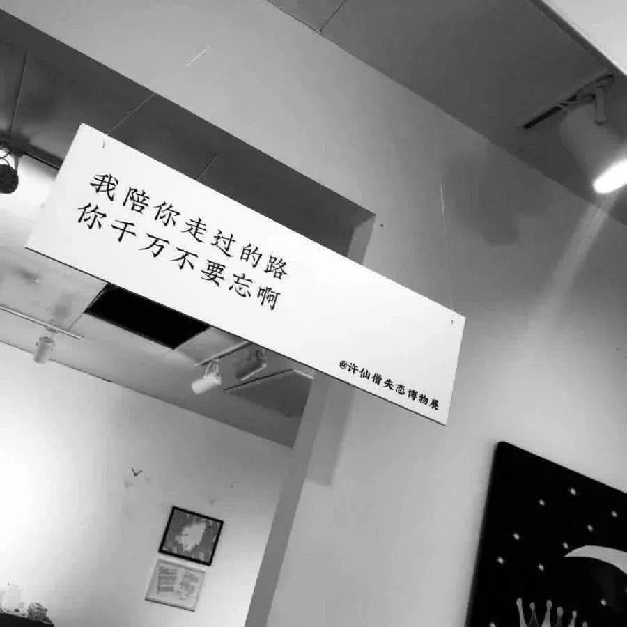 ins 失恋 超丧背景图:我很抱歉,苟且于世没能成为你的