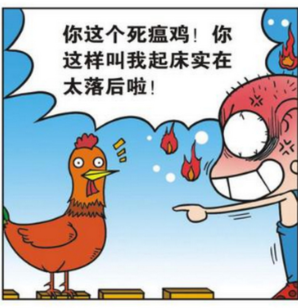 爆笑漫画:呆头要公鸡学习先进方法,公鸡改用鸡毛掸子叫呆头起床