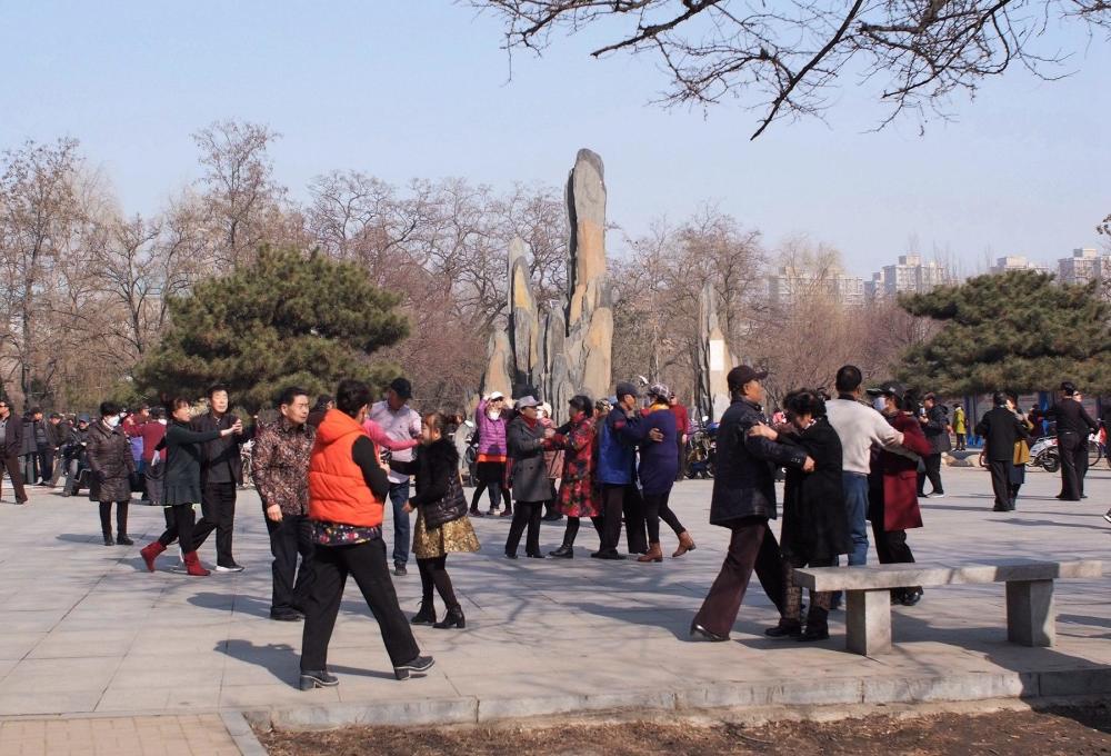 沈阳市百鸟公园一片生气盎然