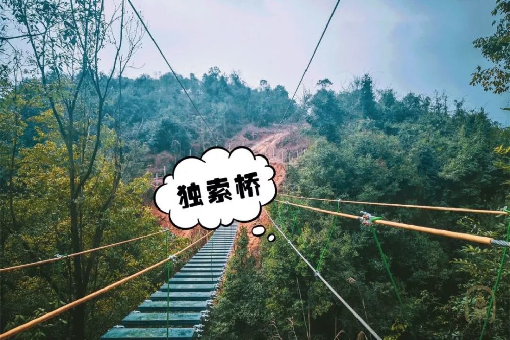 峨眉周边也有网红悬崖秋千&玻璃荡桥啦!关键是可以一天打来回