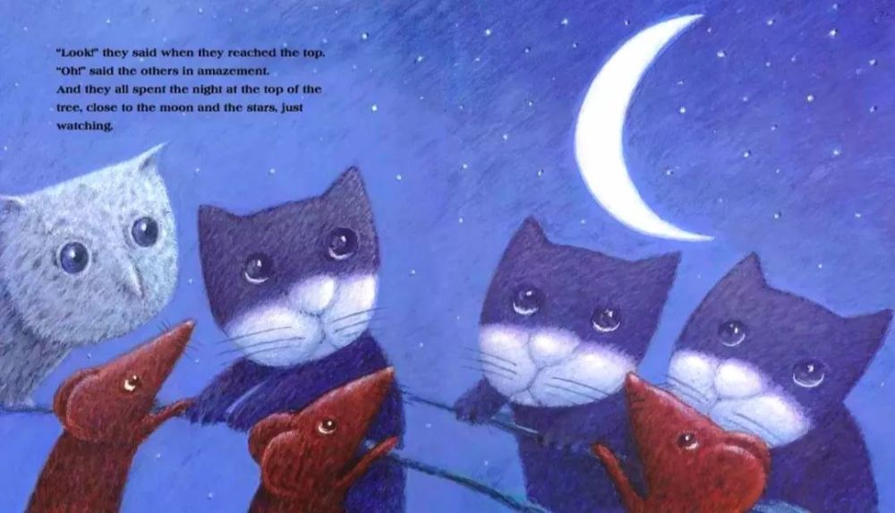 《cat and mouse in the night》猫咪老鼠在夜里