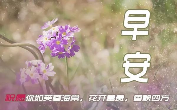 2019温馨特漂亮早上好问候图片带字 早上好问候语表情