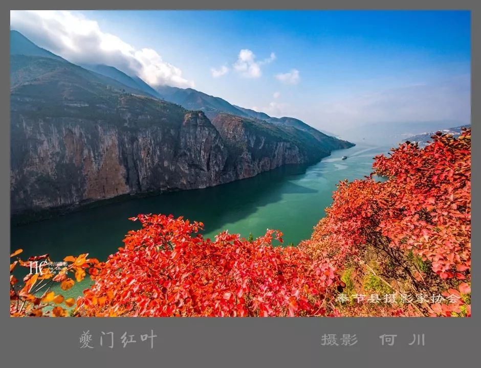 又是一年三峡红叶时,邀请天下游客共赏奉节美景