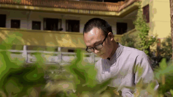 寺僧人的日常 朝露匍匐在草丛间 啼鸟还未惊破黎明 东林寺的大雄宝殿