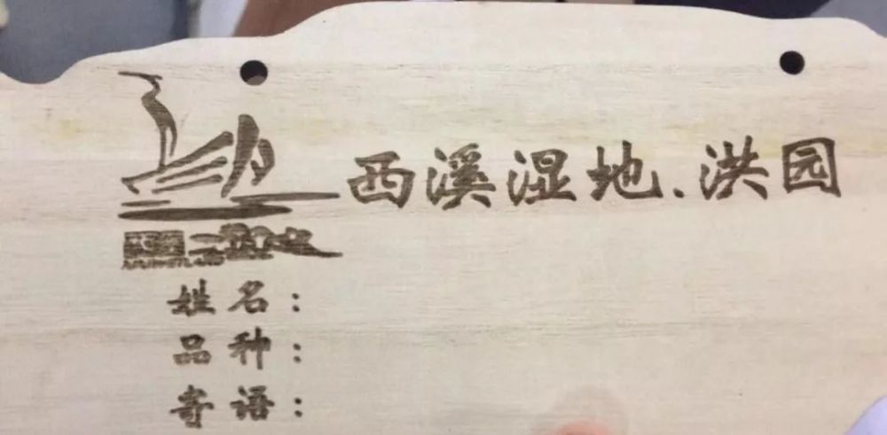 等一个晴天简谱_等一个晴天男生版吉他弹唱谱(2)