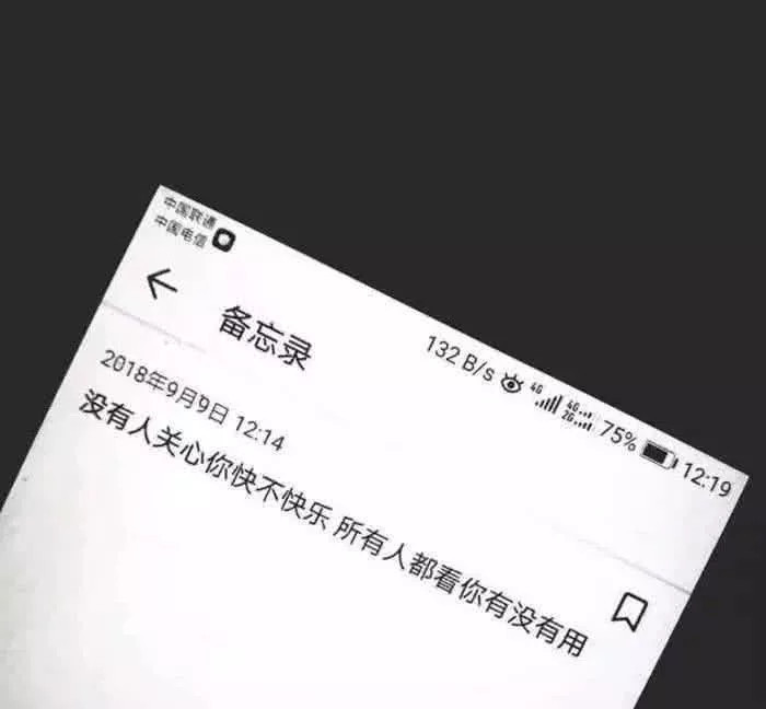 ins·超火·微丧·背景图:仙人掌做不了花没办法被人捧在手心