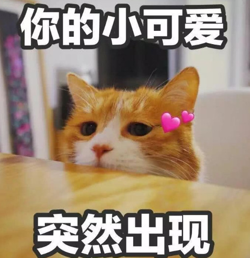 这个小猫咪也是很呆萌的,无辜的眼神,呆萌的表情,但是看了配字你就会