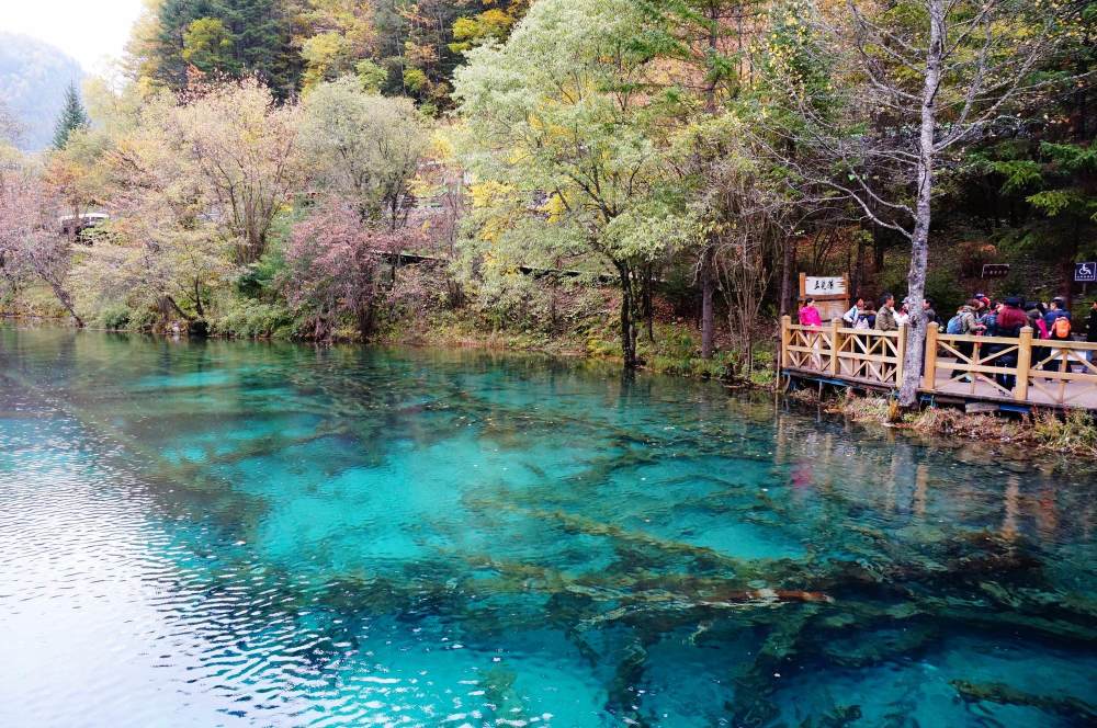 景点,地震,四川,九寨沟景区,双龙海