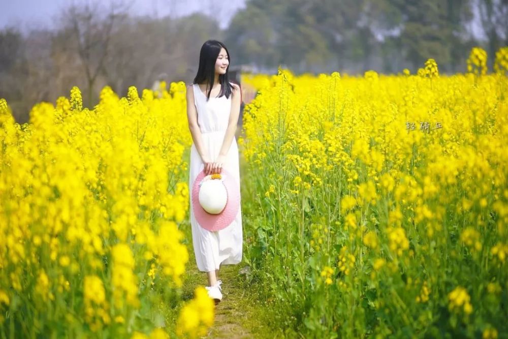 油菜花人像手机摄影技巧,零基础也能让你秒变旅拍达人