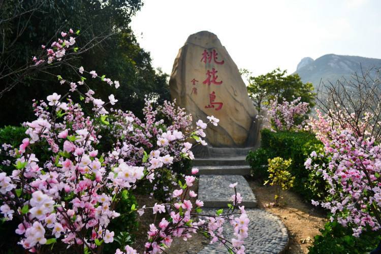 樱花,婺源县,桃花镇,舟山群岛,桃花岛,舟山