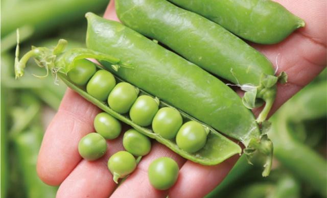 它在中国叫荷兰豆,在荷兰却叫中国豆,到底应