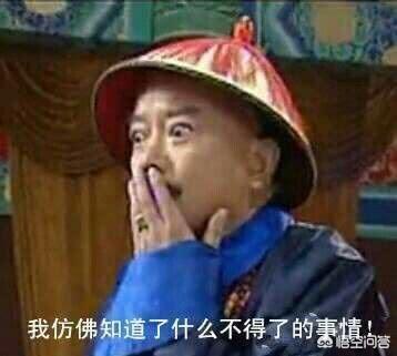 我们的和珅;和大人.这是又发现了什么宝贝,惊讶到合不上嘴巴了.