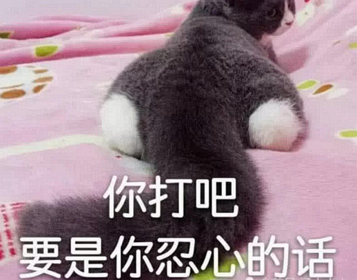 搞笑表情包:试探,小可爱在吗?