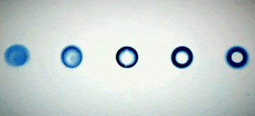 迷宫,自由落体,弗罗斯特,is,激光,牛顿,deepmind,蚊子,x射线