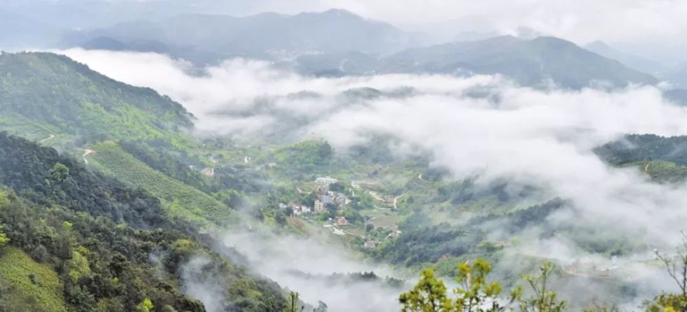 云浮醉美小金山!