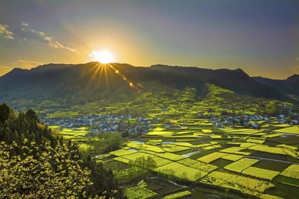 星耀汉中,人气大咖助阵2019中国最美油菜花海汉中旅游