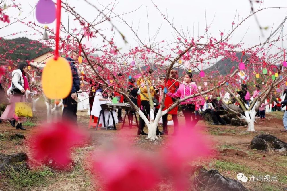 航拍2019连州桃花节现场!