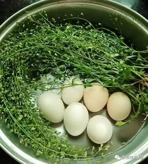 荠菜,煮鸡蛋,鸡蛋