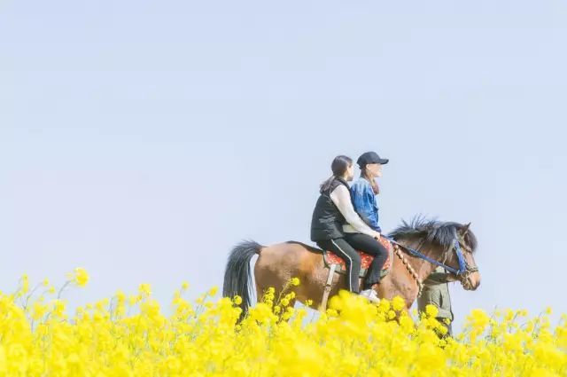 yak meadow,walking shoes 天色将晚,在草甸边静坐,看牦牛涉水而过.