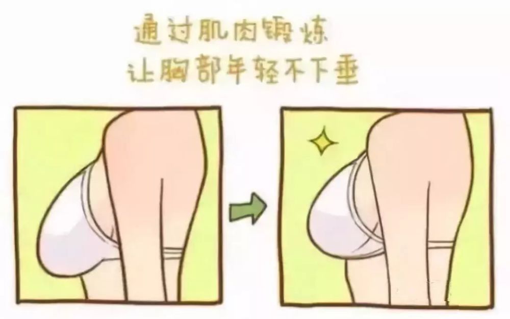 女生怎么锻炼,才能不让胸部缩水?