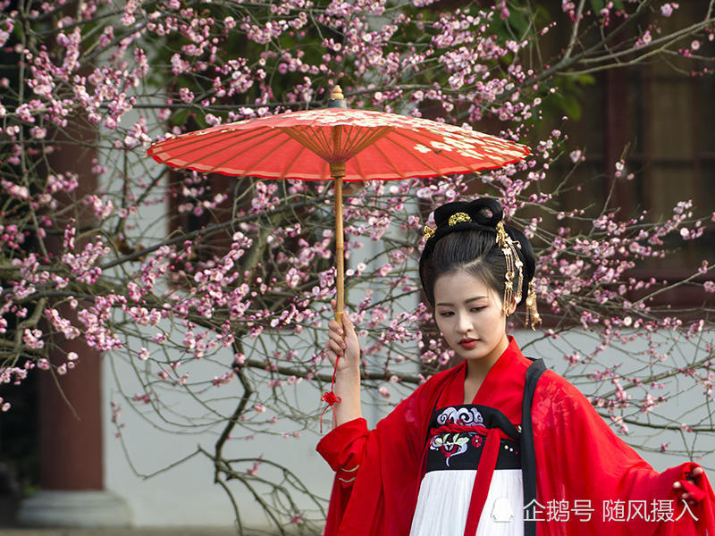 在东湖梅园游玩时,蹭拍了一组梅花美人图