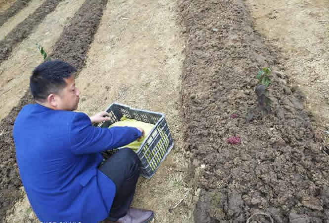 增润蚯蚓养殖技术大全——附视频和图文养殖