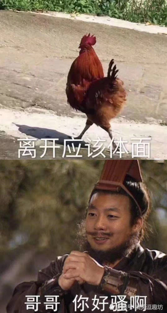 沙雕·表情包·集锦: