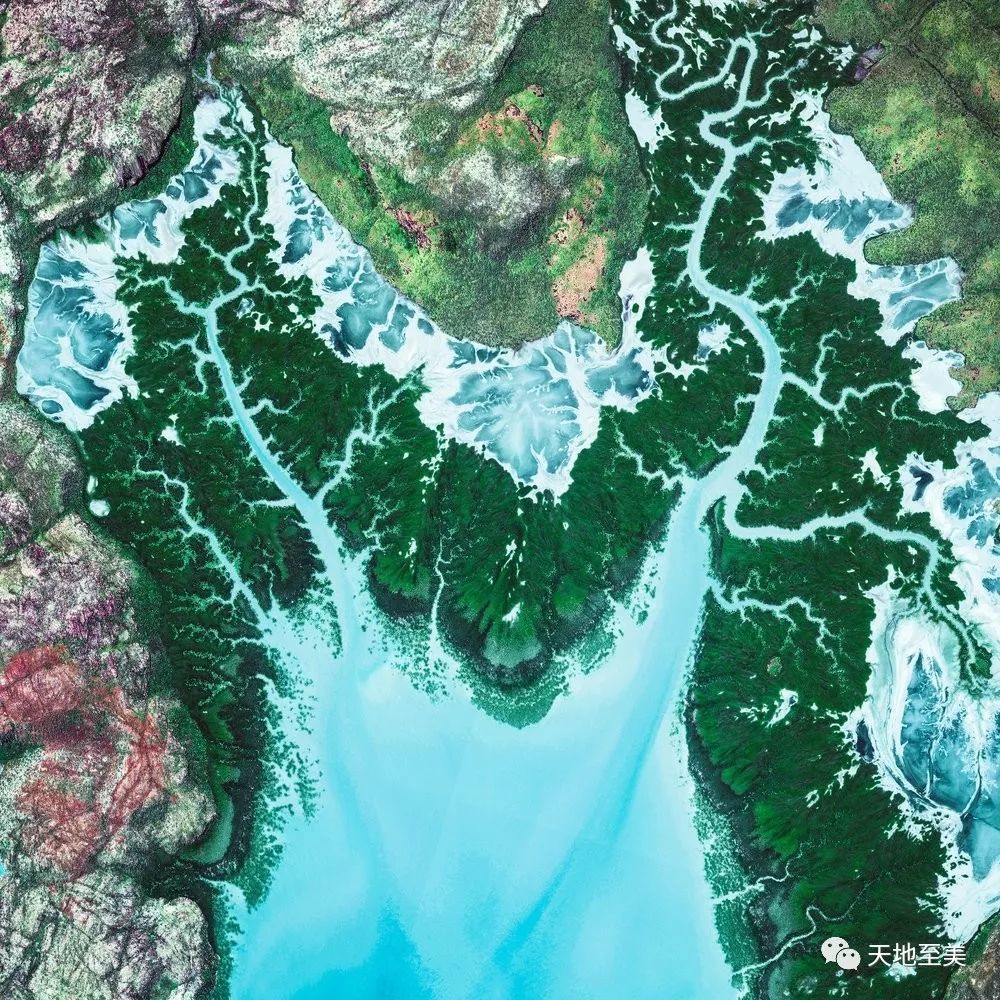 澳大利亚某海湾中的树枝状水系,digitalglobe