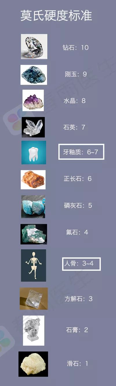 牙齿的硬度 腾讯网