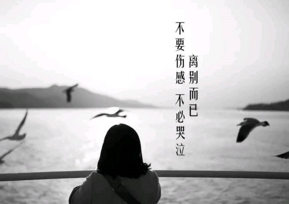 虐心情感心语:你若离去