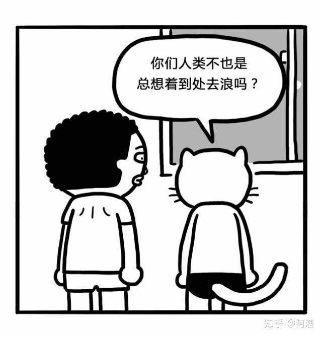 猫咪一辈子不出门会怎样?结果还是那么的出人意料