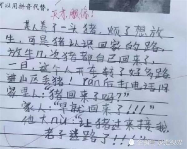小学生写作文,马云是我家邻居,网友:让猪来接我,老子迷路了!