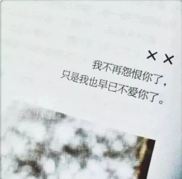 超火"不爱了"壁纸:我不在怨恨你了,只是我也早已不爱你了