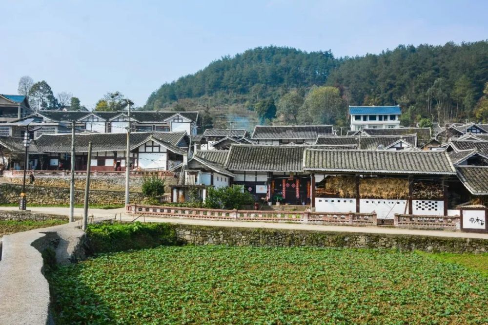 遵义,播州区,梯田,安村,三岔镇,古寨