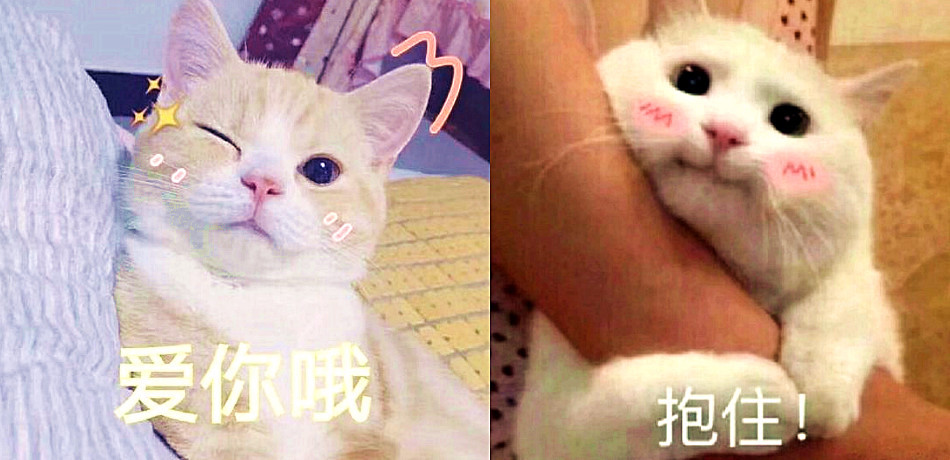 情侣聊天"撒娇"表情包,每张都"超甜蜜",网友:扩列男友