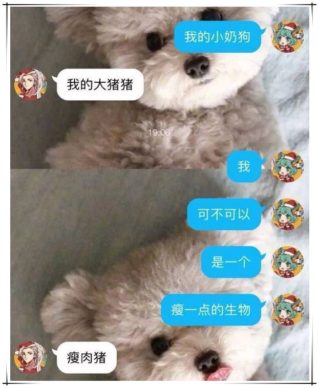 这位女生就叫自己的男友是"我的小奶狗",但是男友却是叫她"我的大猪猪