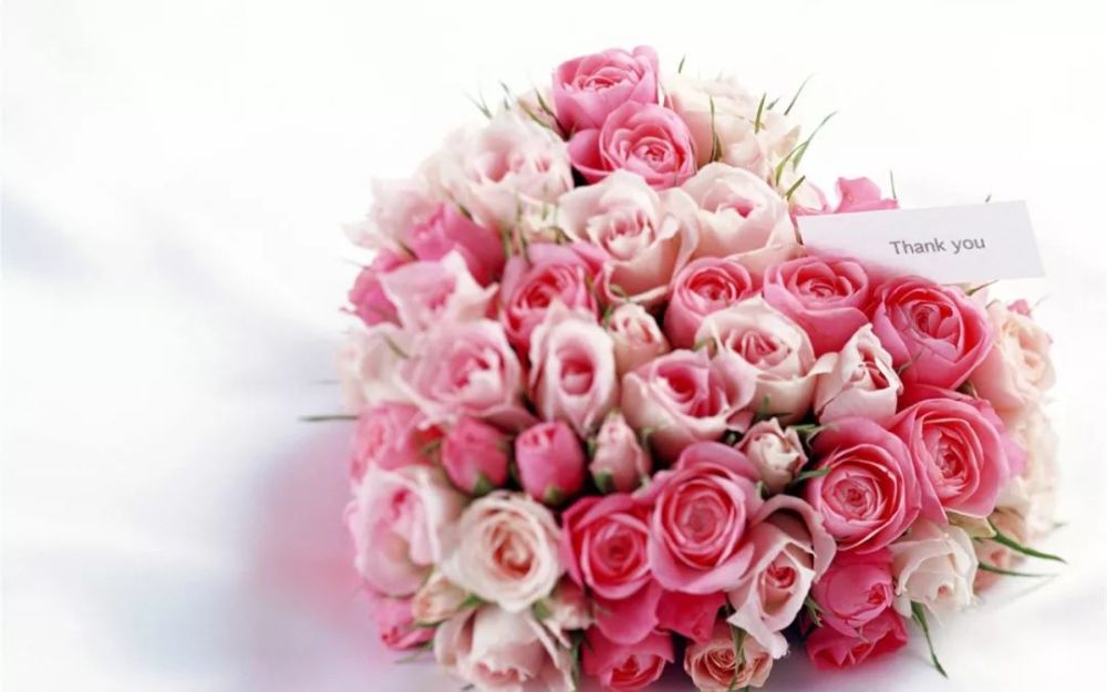 女神节送她什么花?这些花语能帮助你!