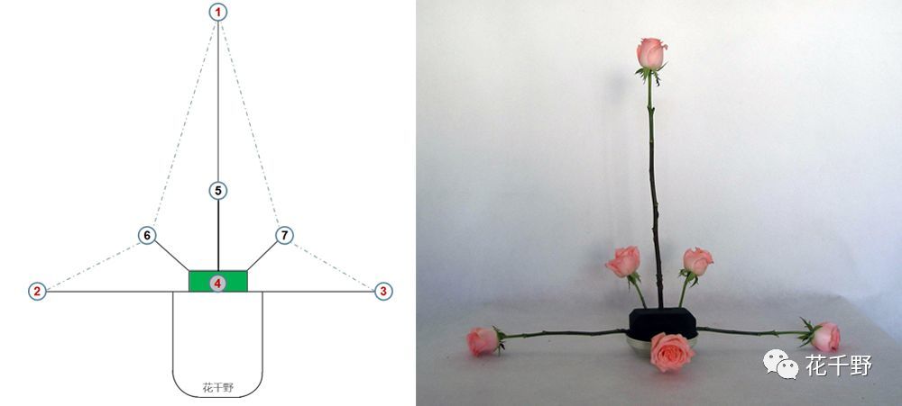 西式插花基础造型——倒t形插花步骤详解