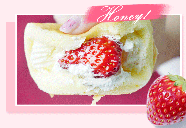 樱花遍布的三月,如何