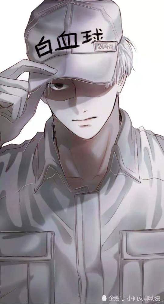 工作细胞:画师手中的白血球,网友:身体有点不舒服,拜托你们了