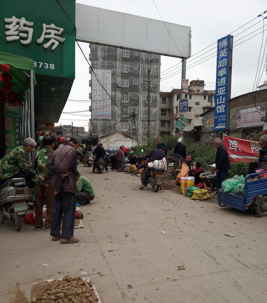 此地乃广西博白县亚山镇著名的狗儿行,不知此街历史有多悠久,自从小编