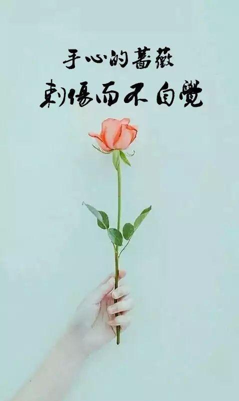《手心的蔷薇》,林俊杰与邓紫棋声音的碰撞,"还我耳朵