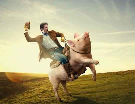 搞笑图片幽默段子笑话:大叔,原来你骑着猪都可以这么帅