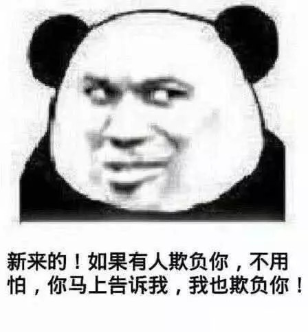 你们不要再斗图啦!表情包:可以,但没必要