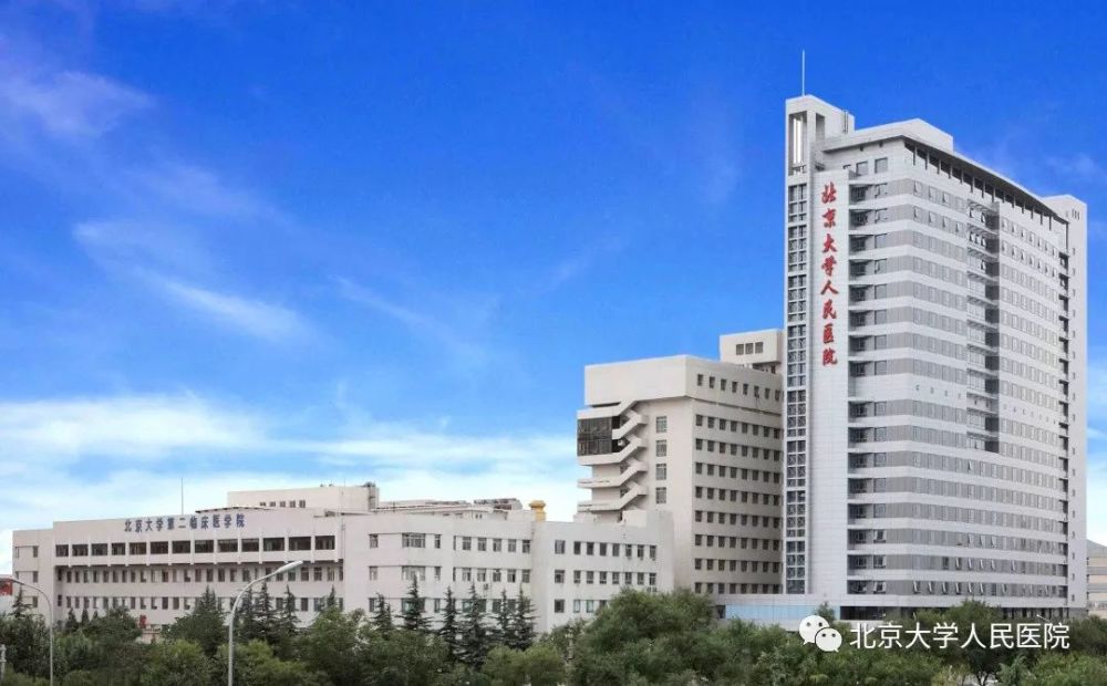 北大人民医院黄晓军团队最新研究发现:中危急性髓系白血病治疗效果